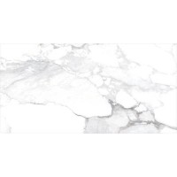 HAUTE WHITE/75,5X151/EP PERONDA фото 1