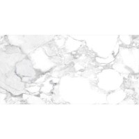 HAUTE WHITE SP/60X120/С/R PERONDA