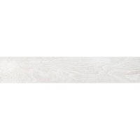 20x120(n) ETERNITY BLANCO PAMESA