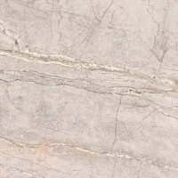 100355035 COLORADO SILVER L 120X120(A) PORCELANOSA