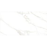 TORANO GOLD/60X120/EP PERONDA фото 2