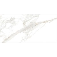 TORANO GOLD/60X120/EP PERONDA фото 1