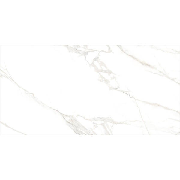 TORANO GOLD/60X120/EP PERONDA фото 2
