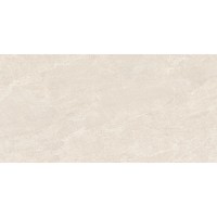 DPS82RT DPS LUNAR 60X120 RETT (1 сорт)