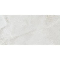 60x120 CR.SARDONYX WHITE PAMESA