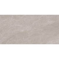 DPS12RT DPS IRON 60X120 RETT (1 сорт)