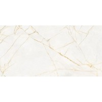 0017238 SPR.HEDON. GOLD SPID. LUX 3D R 60X120 (1 сорт) FLAVIKER