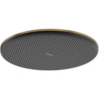 24520140 HG Raindance Alive S Верхній душ 300 1jet, brushed bronze (1 сорт) HANSGROHE фото 1