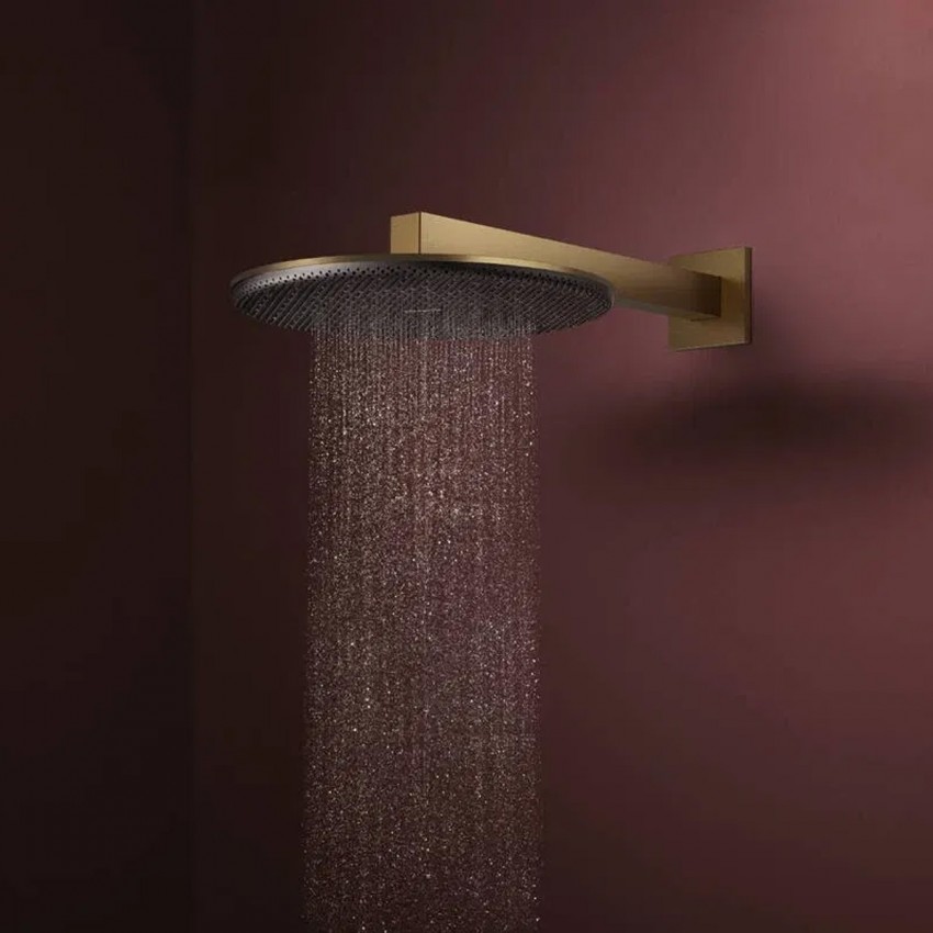 24520140 HG Raindance Alive S Верхній душ 300 1jet, brushed bronze (1 сорт) HANSGROHE фото 2
