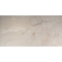 60x120 CR.SARDONYX CREAM PAMESA