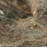 Vesuvio коричневий 4F7580 CERAMICA DESE0 фото 1