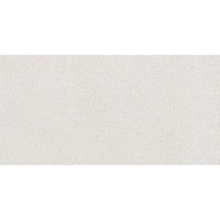 60x120(n) LIN BLANCO PAMESA фото 2