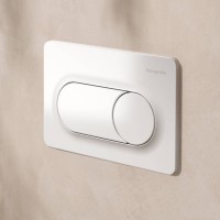 66002450 HG Змивна клавіша iFrame Original S, white (1 сорт) HANSGROHE