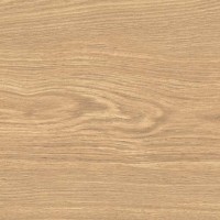 APRICOT6 2015 (1 сорт) LA FAENZA фото 1