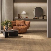 APRICOT6 2015 LA FAENZA