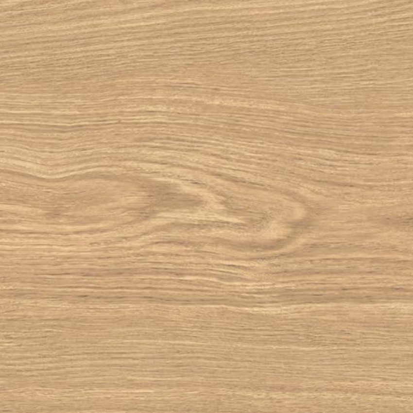 APRICOT6 2015 (1 сорт) LA FAENZA фото 1