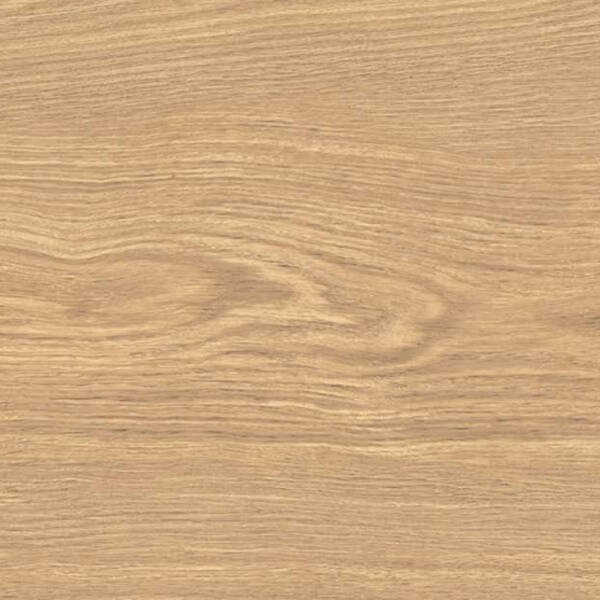 APRICOT6 2015 LA FAENZA фото 1