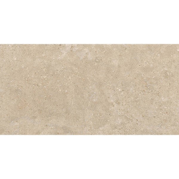 60x120(n) ALBA STONE GREIGE ### PAMESA фото 2