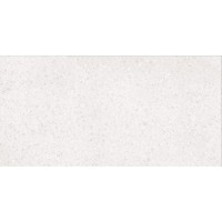 PORFIDO DASV9810 white (1 сорт) Lasselsberger Rako фото 1