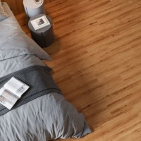 CONCORDE CHESNUT (1 сорт)