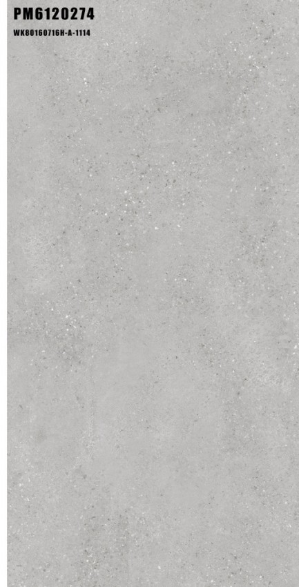 PM6120274 COAST GRIS (1 сорт) CERAMICA DESEO