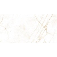 DUAL WHITE NT/60X120X0,9/C/R PERONDA фото 1