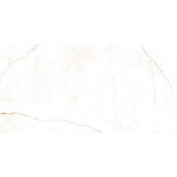 DUAL WHITE NT/60X120X0,9/C/R PERONDA фото 2