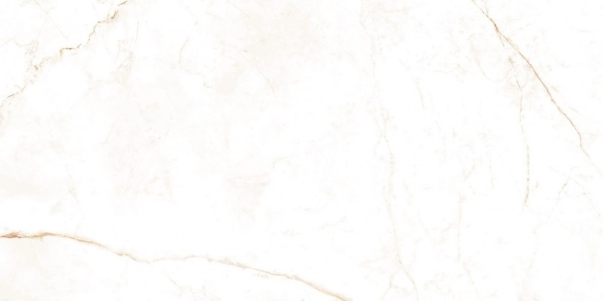 DUAL WHITE NT/60X120X0,9/C/R (1 сорт) PERONDA фото 1