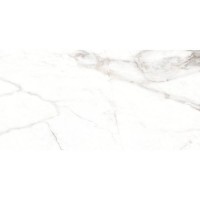 LUMIERE WHITE/60X120/EP PERONDA фото 3