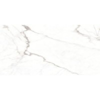 LUMIERE WHITE/60X120/EP PERONDA фото 2