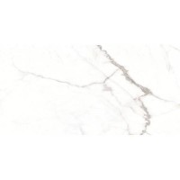LUMIERE WHITE/60X120/EP PERONDA фото 4