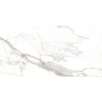 LUMIERE WHITE/60X120/EP PERONDA фото 1