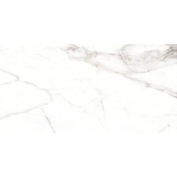 LUMIERE WHITE/60X120/EP PERONDA фото 3