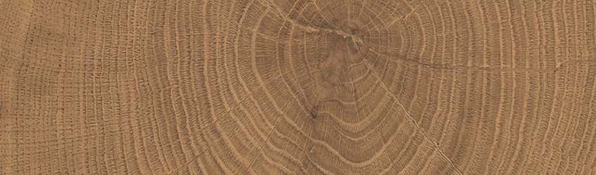 ENJA WCI WALNUT 053X300 (1 сорт) PROVENZA фото 2