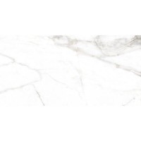 LUMIERE WHITE NT/60X120X0,9/C/R PERONDA фото 2