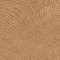 ENJE WCI WALNUT 100X100 EMIL CERAMICA фото 1