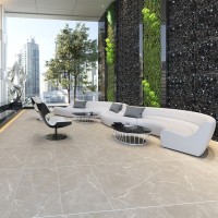 REIMS STUCCO (1 сорт)