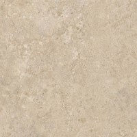 100x100 ALBA STONE GREIGE ### PAMESA фото 3