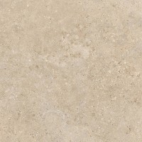 100x100 ALBA STONE GREIGE ### PAMESA фото 1