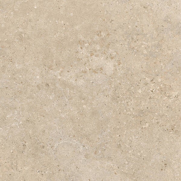 100x100 ALBA STONE GREIGE ### PAMESA фото 1