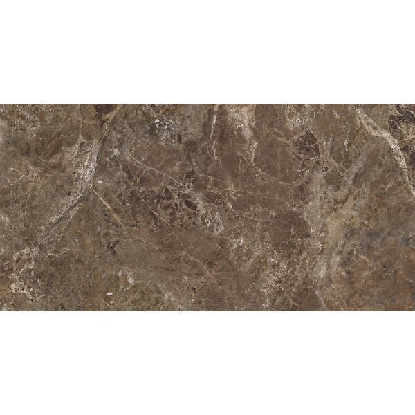 IMPERIAL BROWN POL RECT 60X120 APE фото 1