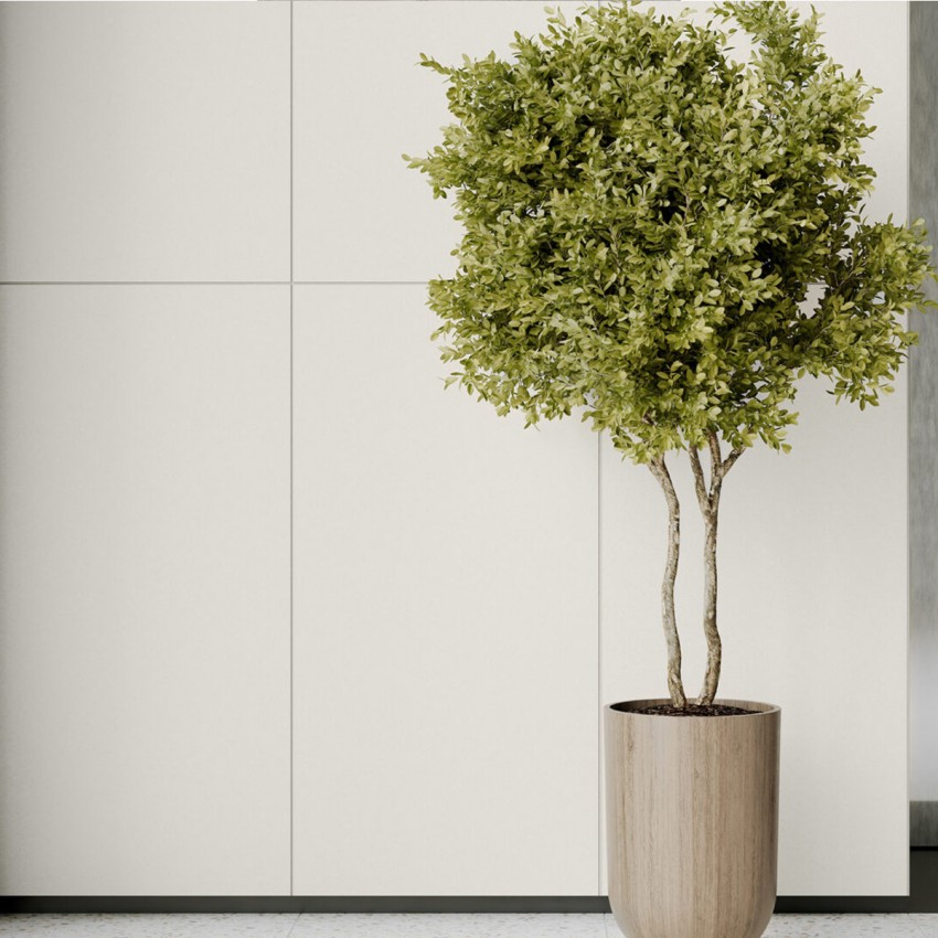 GRES MONOLIGHT EXTERIOR WHITE R10 RECT (1 сорт) CERRAD фото 2