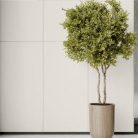 GRES MONOLIGHT EXTERIOR WHITE RECT CERRAD