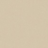 GRES MONOLIGHT EXTERIOR BEIGE (MX03) RECT. CERRAD фото 1