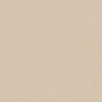 GRES MONOLIGHT EXTERIOR BEIGE (MX03) RECT. (1 сорт) CERRAD фото 1