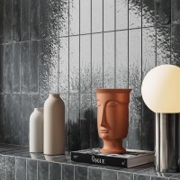 KAMIEN PALETTE GRAPHITE (1 сорт) CERRAD фото 1