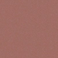GRES MONOLIGHT EXTERIOR TERRACOTTA (MX09) RECT. CERRAD фото 1