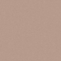 GRES MONOLIGHT EXTERIOR MOCCA (MX06) RECT. CERRAD фото 1
