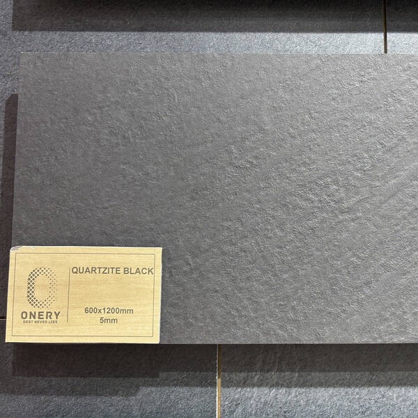 QUARTZITE BLACK COLORRED BODY ALMERA CERAMICA-2 фото 2