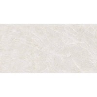 ARCTIC POLISHED MEGAGRES фото 3